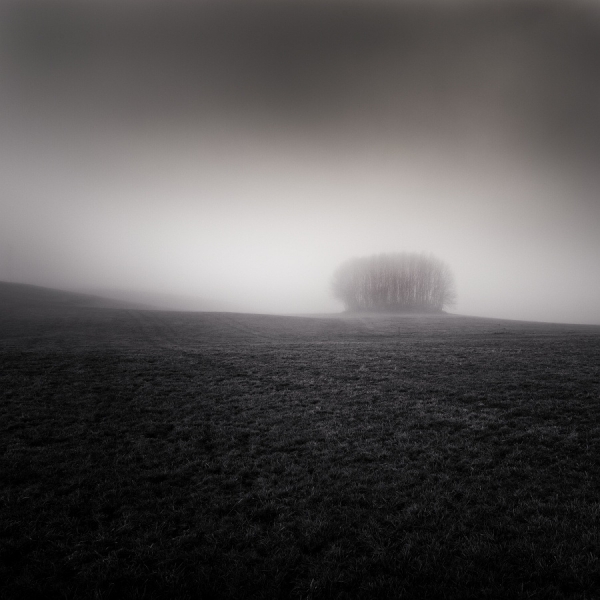 Photograph Uwe Langmann Foggy Grove on One Eyeland